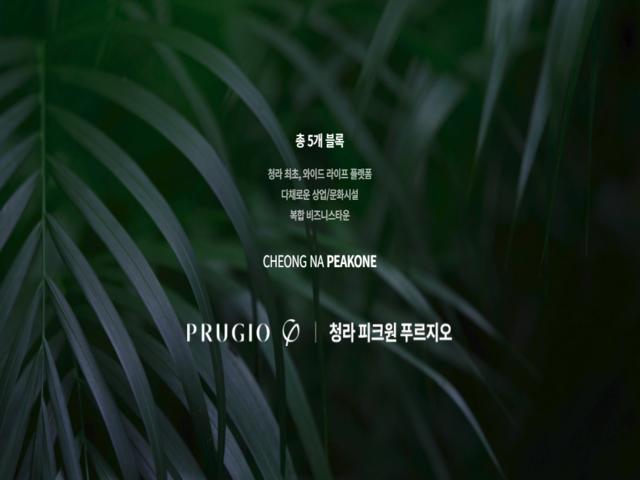 청라 피크원 메인